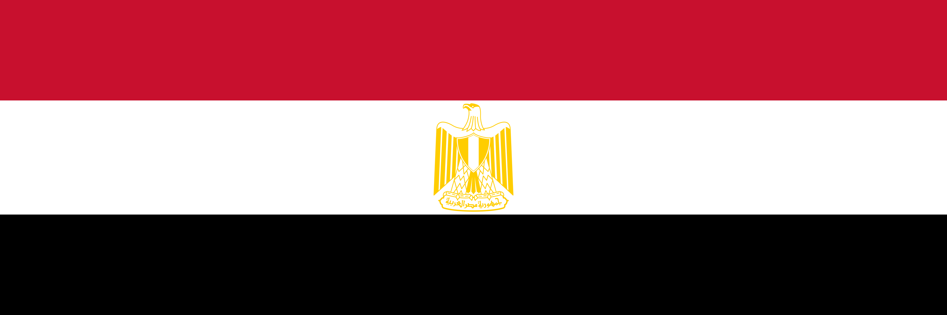 /PublishingImages/egypt-flag.png